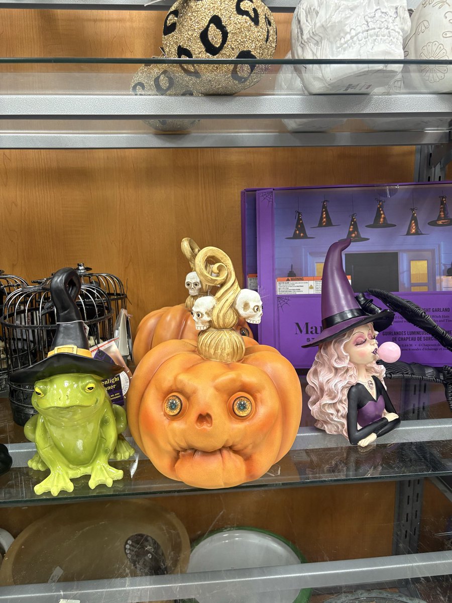 hello__caitlin's tweet photo. I think it’s sweet that Mitch McConnell lived long enough to see the release of his TJ Maxx Halloween collab https://t.co/8MXap36ri4