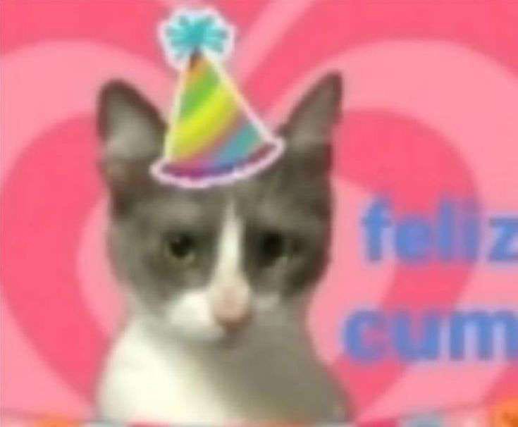 shadadedaduum's tweet photo. @hiorimiamor FELIZ CUMPLE https://t.co/3o06UYjqbC