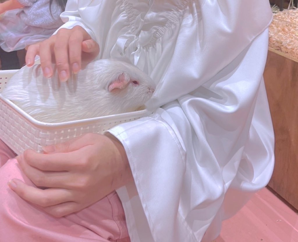 satou__0501's tweet photo. 04 / LよりのB / ネコ🐱 / 精神疾患持ち / 愛知

お友達から運命の出会いまで〜💫

ALTにちょこっと書いてます❕

 #セクマイさんと繋がりたい
 #レズビアンさんと繋がりたい
 #LGBTQの人と繋がりたい https://t.co/RwMe7tRMrl