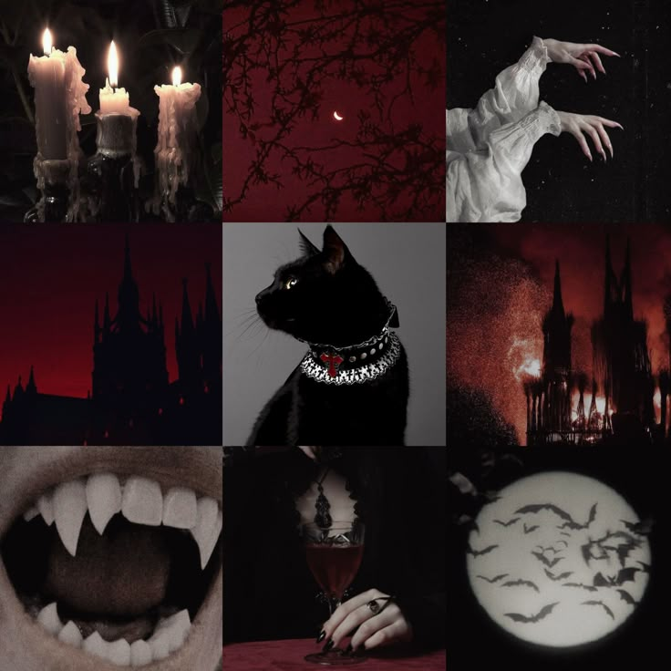 littleghost905's tweet photo. nex adopt https://t.co/i7cZwUNU28