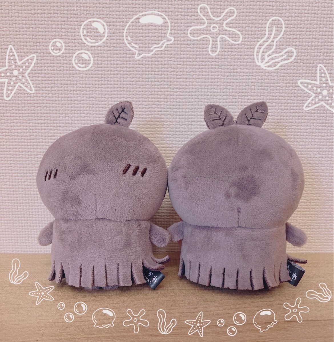 mogu2monchan's tweet photo. 大切にします😌 https://t.co/lUWzaXZ1Jq