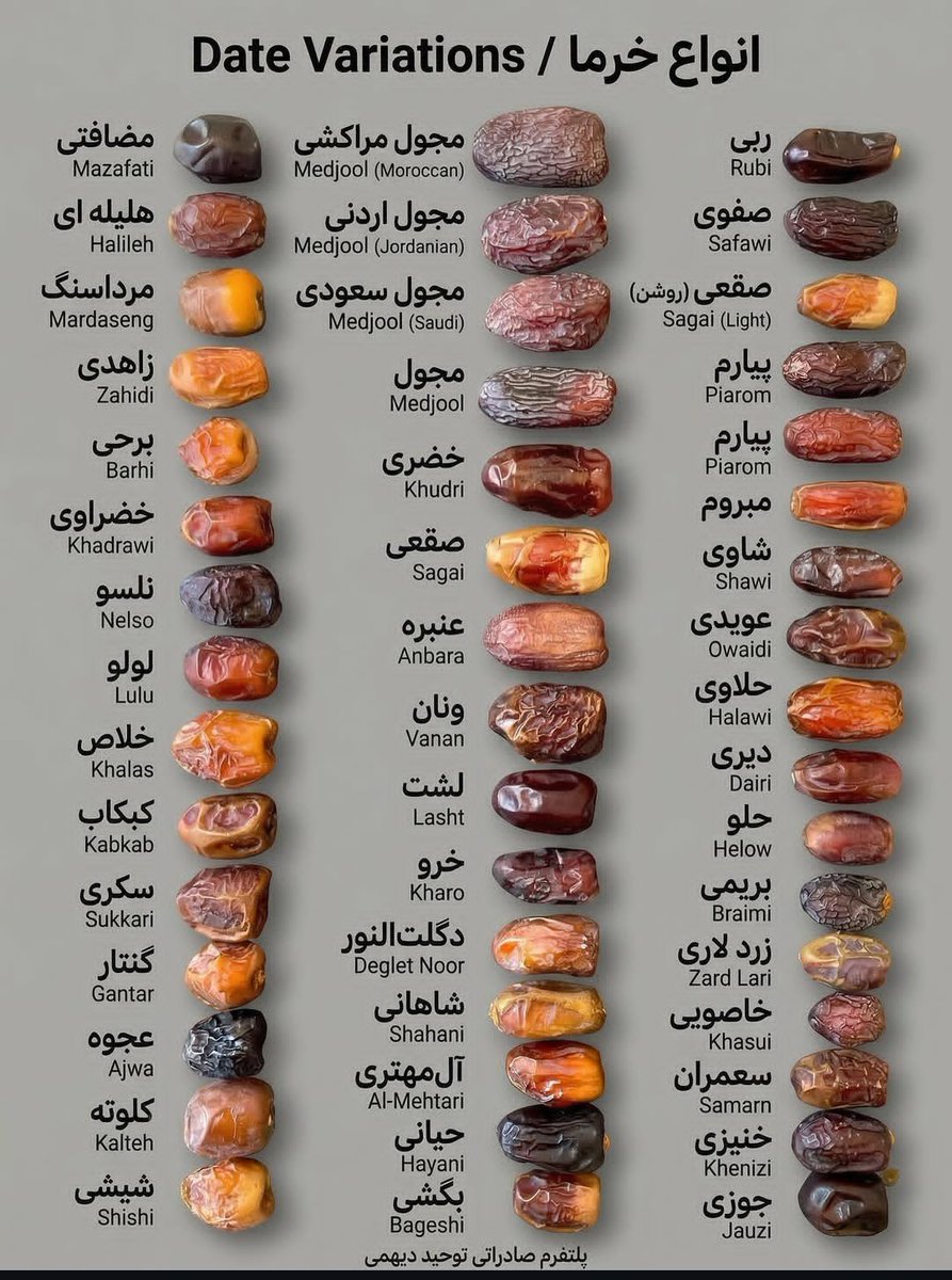 امیرآریان ارجمند♕𓃬☼ tweet media