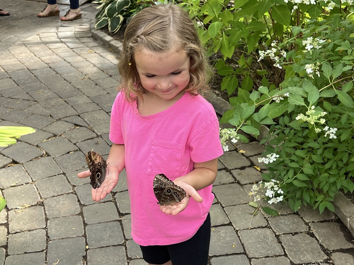 BethGinYGK's tweet photo. @GeoffyPJohnston She has a history #ButterflyQueen 🦋 https://t.co/zLDe2lvbeA