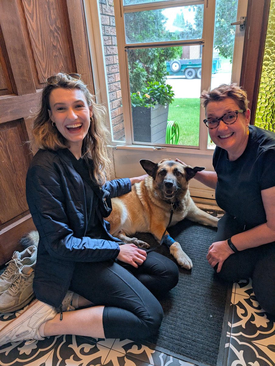 SarahRyanYEG's tweet photo. Look at Buddy with his new family!!! @SCARS_Alberta #yeg #yegdogs https://t.co/0Ep9T5GRQ6