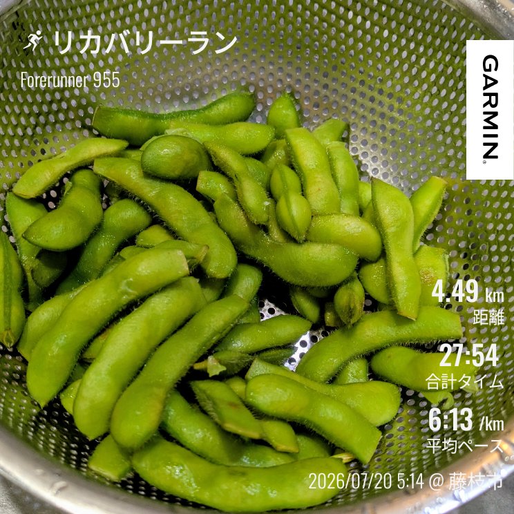 JR2HLR's tweet photo. 昨日はランオフて今日はリカバリーラン。急に暑くなってきたので暑熱順化が追いつかない。。。
先ほど大発見しました。枝豆、茹でたては塩ふらないほうが豆の甘みが味わえて美味しい。 https://t.co/f3guu1B2hC