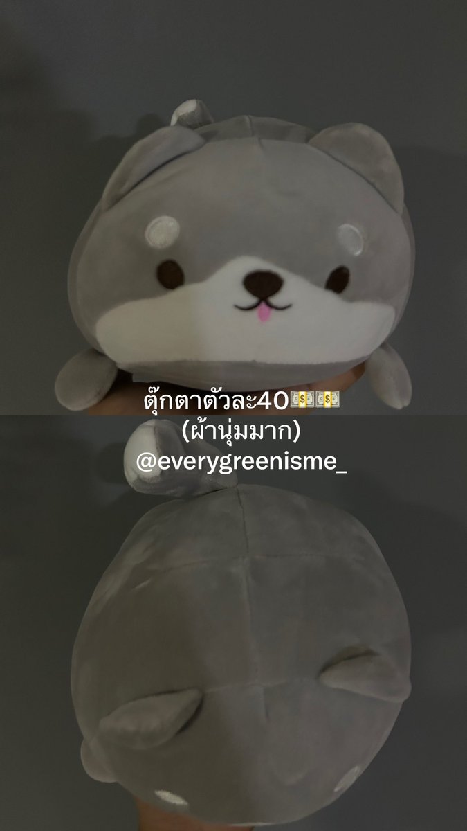 evergreenisme_'s tweet photo. ส่งต่อของค้าบบ ขายเทๆๆๆ🤍🤍
สนใจตัวไหน พต.ได้นะคั้บๆ🙇🏻‍♀️
(ค่าเดินทาง40💰คับบ)
#ตลาดนัดมือสอง #ส่งต่อของมือสอง #ตลาดนัดของเล่น #ตลาดนัดของใช้ #มือสอง https://t.co/MrWTnZXRph