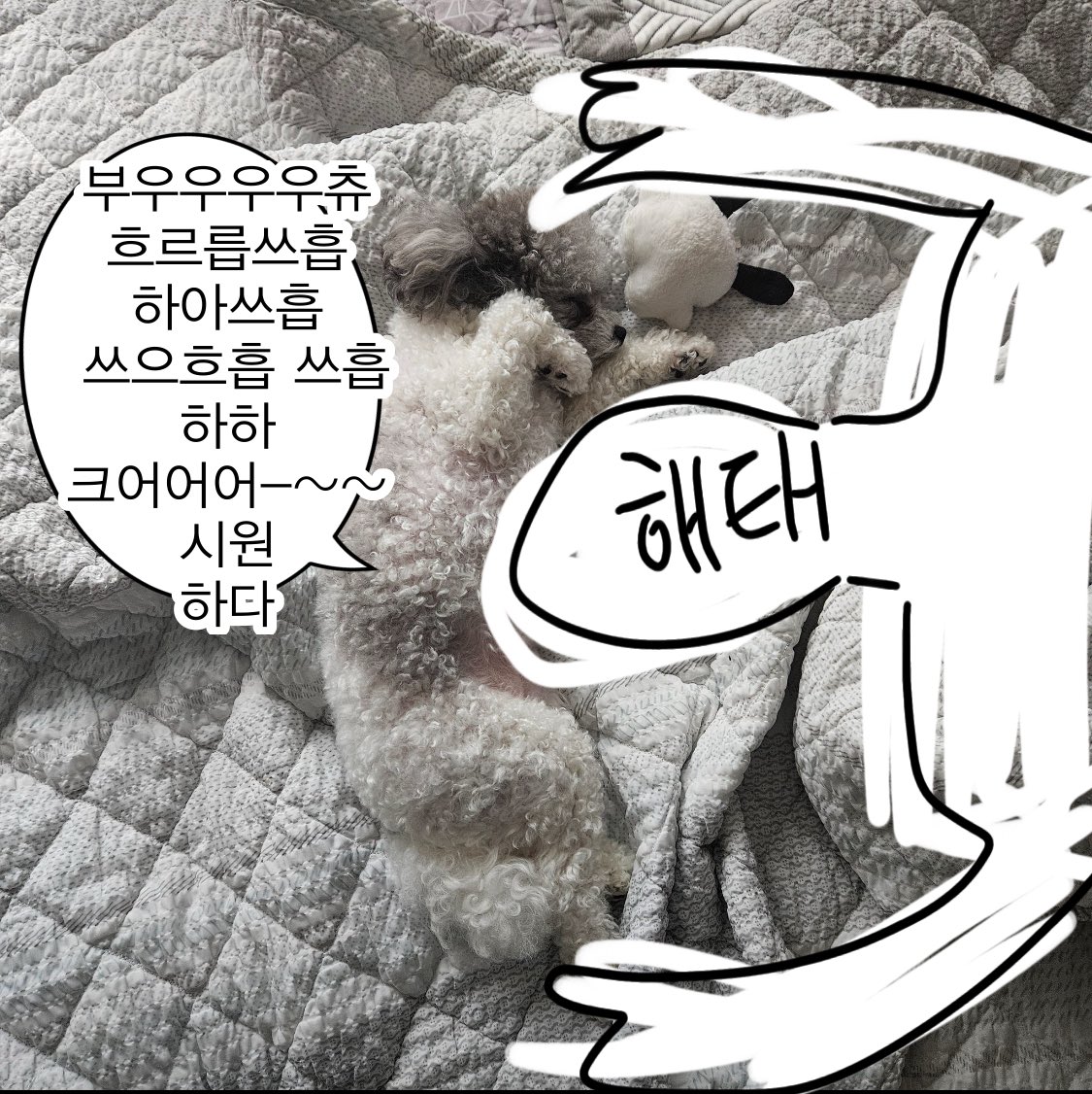 𖤐 tweet media