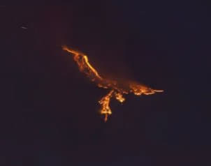 blad333fun's tweet photo. This post got 33k UPVOTES in 1 day

I have never seen something with this much AURA

This bird is literally on fire flying thru the sky

The best part is they are comparing it to the moltress - a legendary Fire/Flying-type Pokémon 

This needs to go

https://t.co/jxJiaXOWZI https://t.co/yytNWZ3Iun