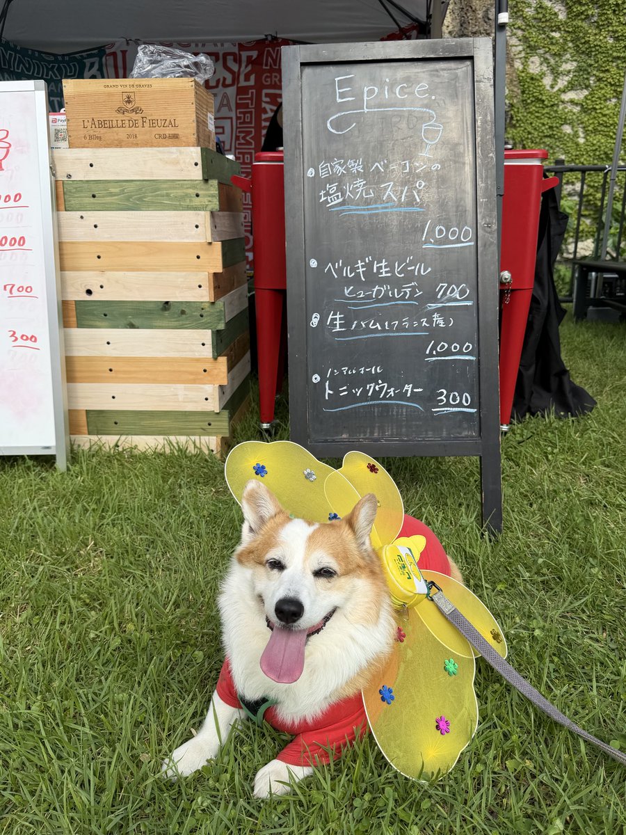 lylasan1202's tweet photo. 夏祭り行ってきたよーあちー https://t.co/HHPuzMD83p