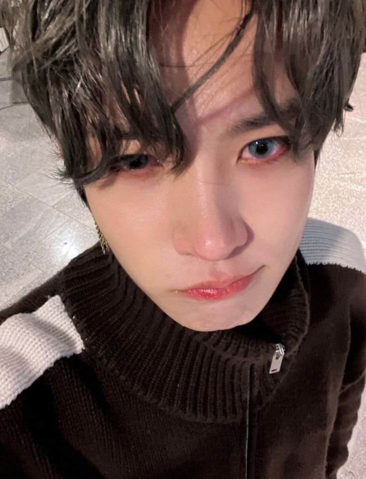 ⋆˚alsa 𝜗𝜚˚.ᐟ🎧ྀི⋆skripsi era tweet media