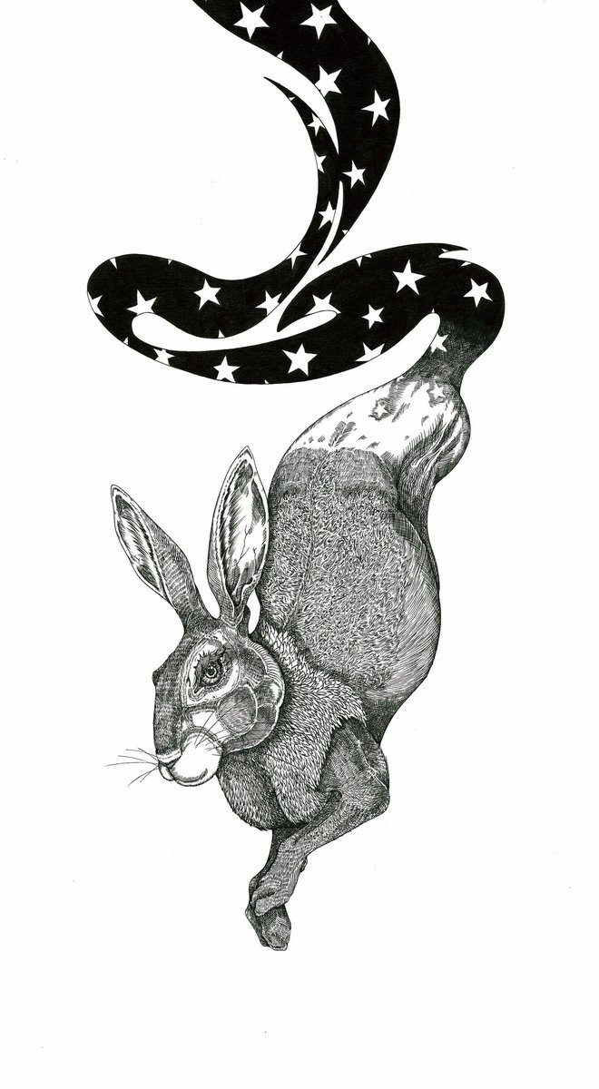 モノクロ原画 兎＊キノコ＊星花 新作です✒︎ Title：流星〜兎〜 Material：筆ペン #illustration #art