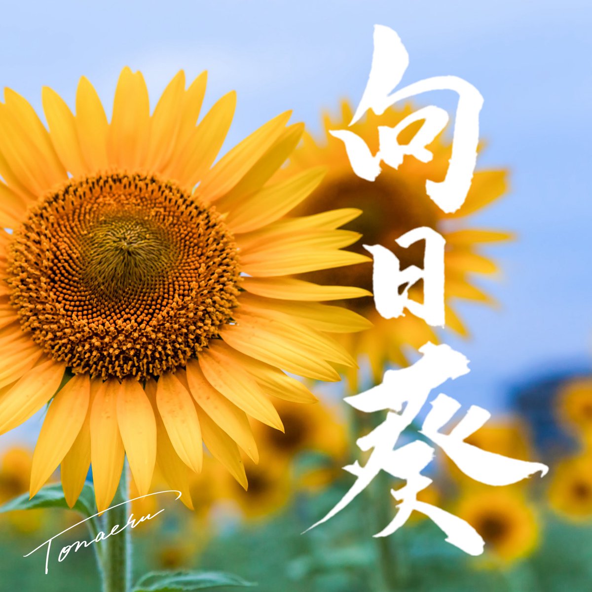 TONA_ERU's tweet photo. こんな感じで字を書いて楽しんでいます😊
よかったらリスエスト募集しております！
フリーの画像も添付して貰えると助かるかもしれん！！笑 https://t.co/b7ASjDmvr5