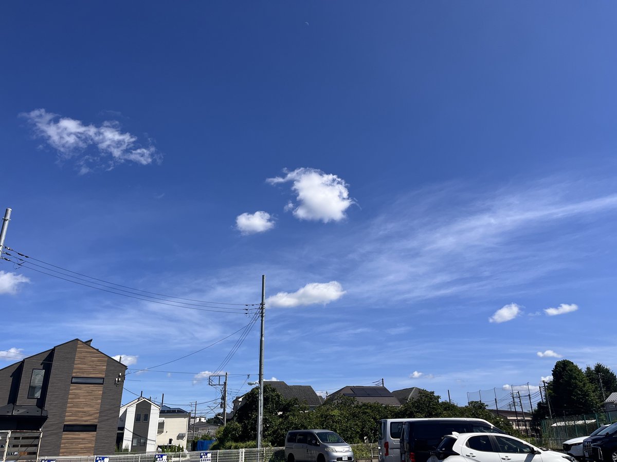 maguro_oooo's tweet photo. 二日連続同じうどん屋来たけど二日連続閉まってた
悔しい
そろそろ熱中症で倒れる https://t.co/1uHzfjMCxv