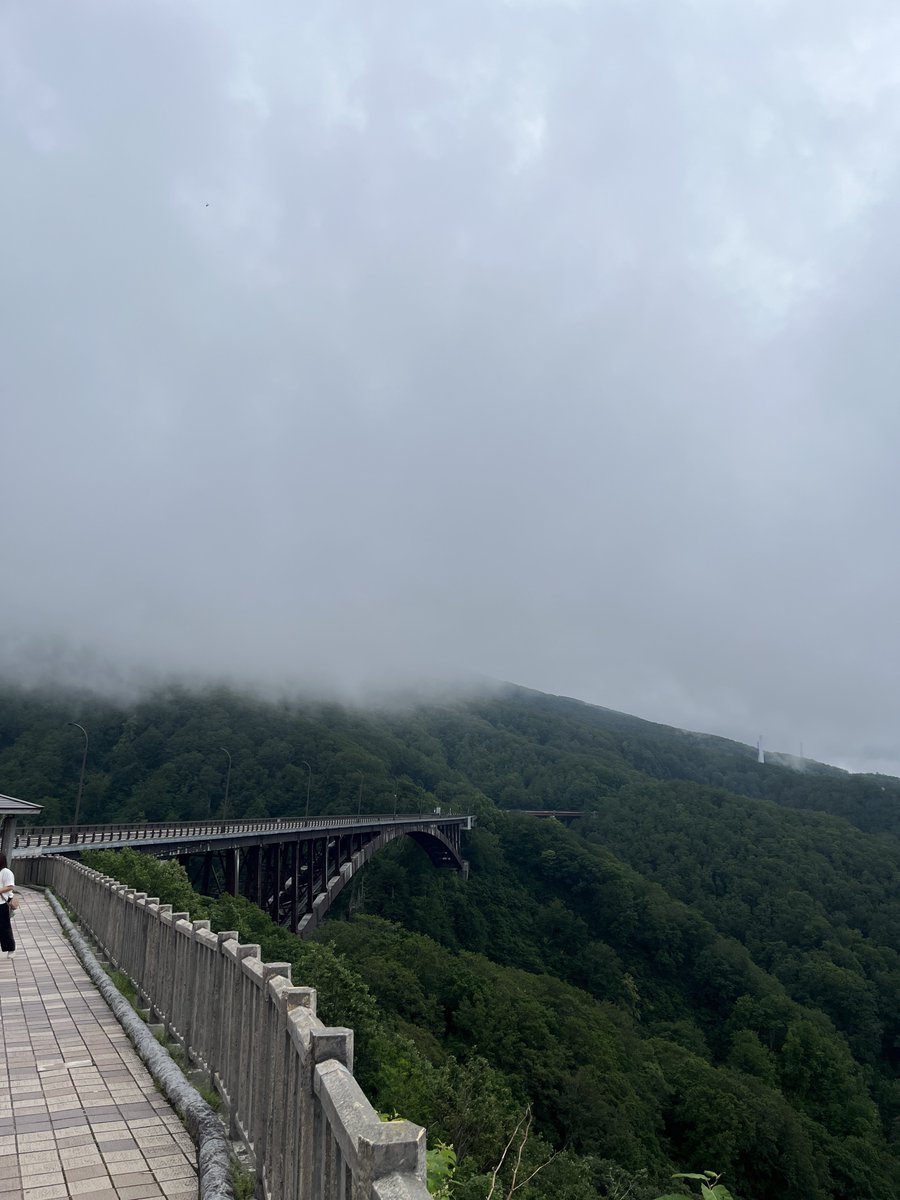 v4ldemar's tweet photo. いい流れで走るADバンとZいた https://t.co/eskGglDGYW