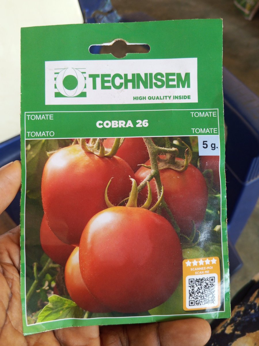 FirstKingEntert's tweet photo. Cobra (5g) - ₦23000
Daew F1 (5g)-  ₦6000
Dakar F1 (10g)- ₦12,000.
Bello garden egg (5g)- ₦8000

Dear Valued Customer and farmers, Ocka Agro is open for the week to serve you with quality agro inputs.

Ask us 09139986258 WhatsApp, call or send a dm.

Have a great week ahead. https://t.co/d2HQ7JZaot
