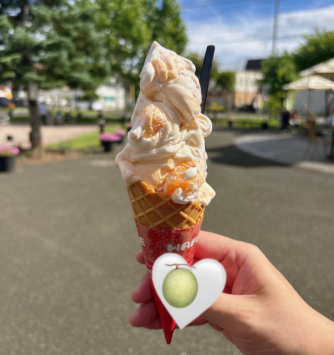 nayudartspanda's tweet photo. 全身筋肉痛でなんとか起き上がった北海道最終日🪻メロンいっぱい食べた🥹🍈
明日からまたダーツもお仕事もがんばるぞ😤
明日はSavannaで19-23でプレイヤーデーです🥹✨まったり予報だと思うので、いっぱい投げたいです🎯🎯 https://t.co/ttpKc8FxqK