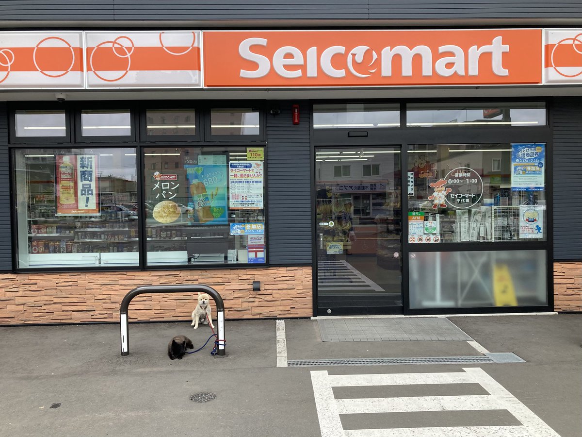 kumat0n's tweet photo. 道路を挟んで真向かいにはセコマがあり千歳ドミに宿泊した際の買い物にも便利です
入り口には大人しく飼い主の買い物を待っている🐕🐕‍🦺が😍 https://t.co/boZ94I33Ru