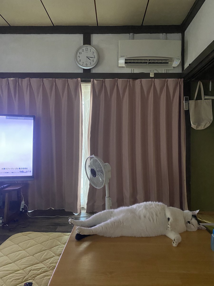 城主ペネロペ tweet media