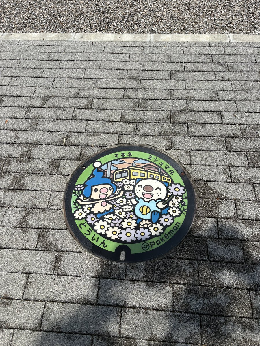 makkeygo03's tweet photo. そーいや昨日ポケふた3ヶ所まわった！！
ピカもシャドウもいい感じでした✨ https://t.co/eT4xQ2T1Kn