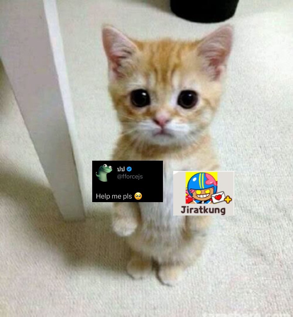bububookie's tweet photo. force to me: https://t.co/Gr1hzkpnFK