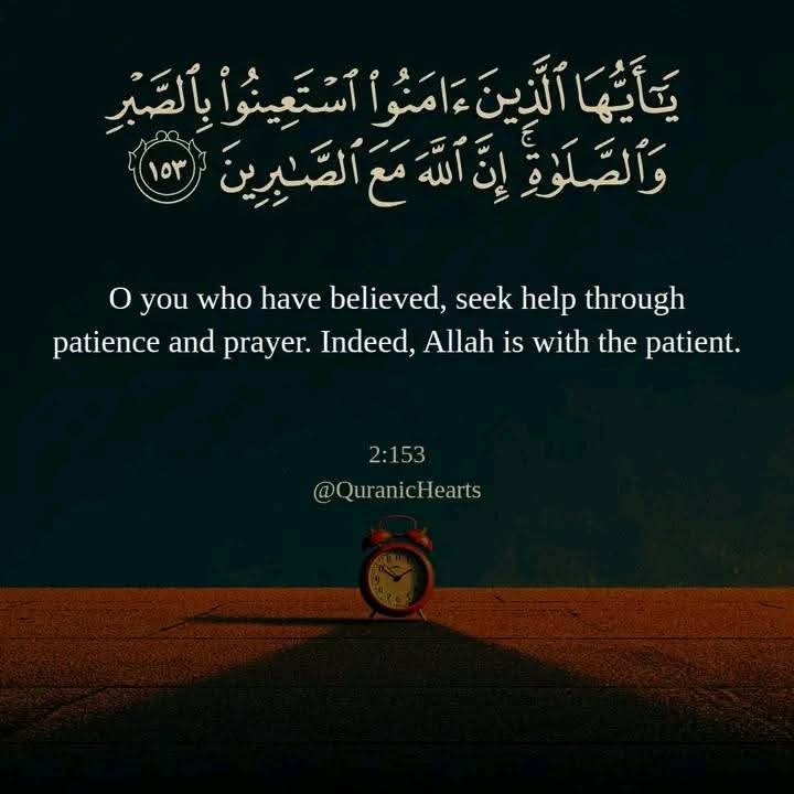 hiyfahi's tweet photo. https://t.co/AI639oIStH