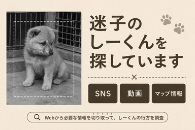chanwan_studio's tweet photo. 2作品目のWebARGを公開しました

迷子のしーくんを探しています

・想定プレイ時間 30分
・初心者向け

▼プレイはこちらから
https://t.co/15LYWJxmoa

※スマホでプレイの場合注意事項のご確認をよろしくお願いします

#迷子のしーくんを探しています #WebARG #web謎 https://t.co/HMA3EEc8Az