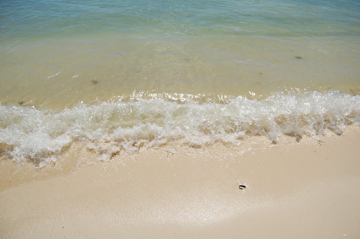 Mauritius Island tweet media