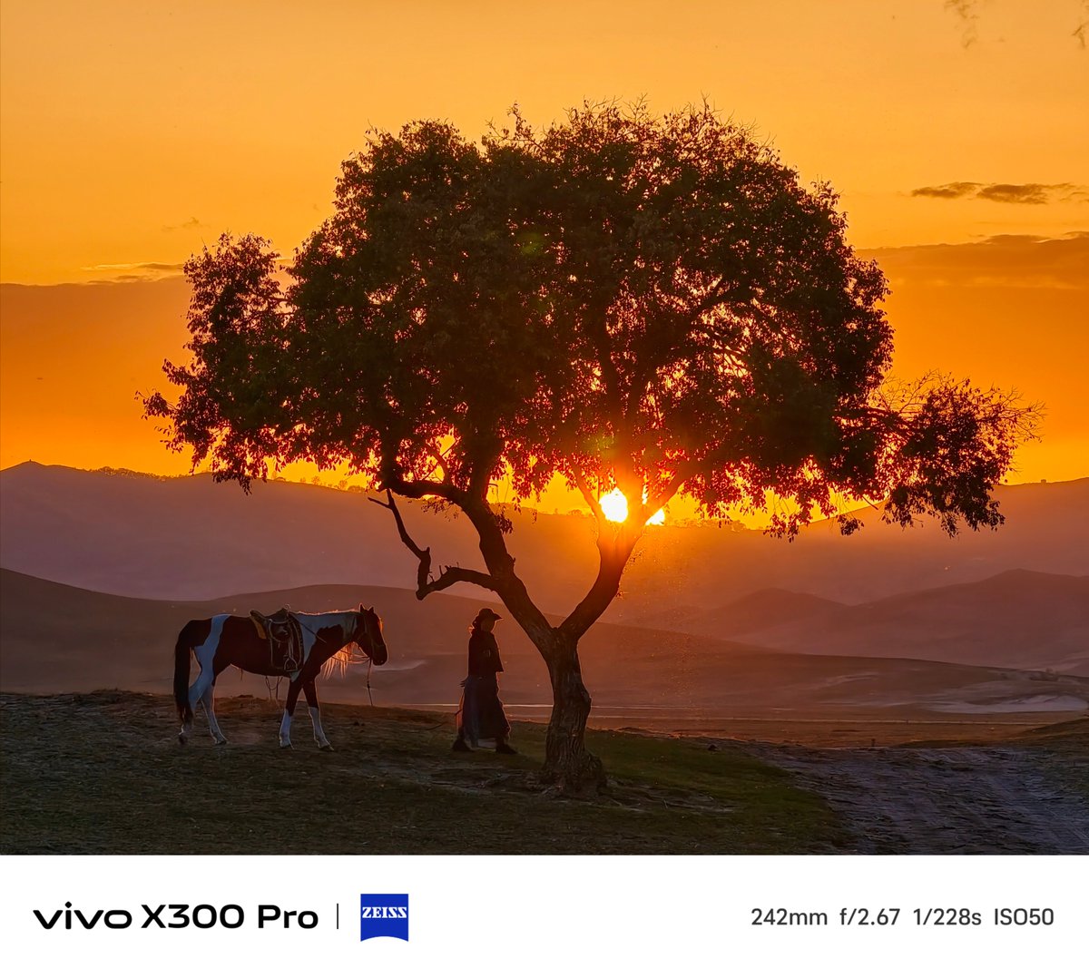 P733RyXBM0l2ytO's tweet photo. New to photography Start with mastering your phone’s auto mode and rule of thirds—small wins lead to amazing shots!， https://t.co/PCo8XfhZpl