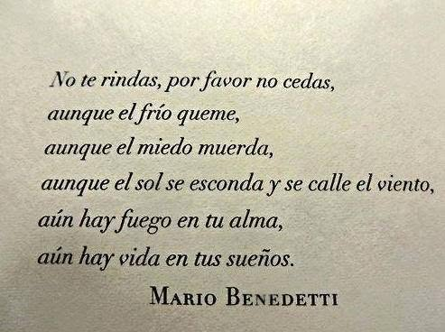 joseluis®© tweet media