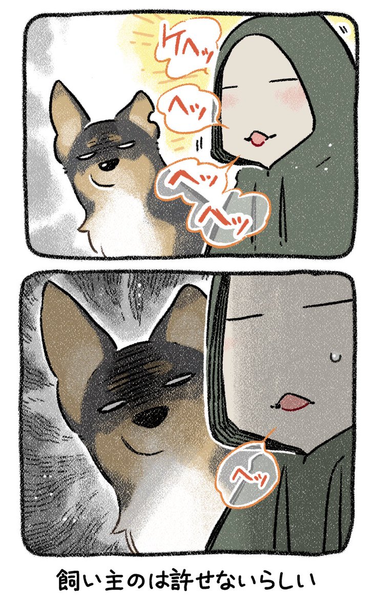 yosimofurou's tweet photo. ヘッヘて言ってる犬の横で
ヘッヘ言うと
ヘッヘ止まるのなんで？
ヘッヘ https://t.co/MUY1Bg4vG7