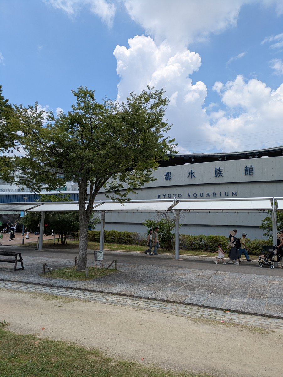 Ryoya_15_2's tweet photo. 昨日と今日でW水族館！！ https://t.co/DAQkKDiWZa