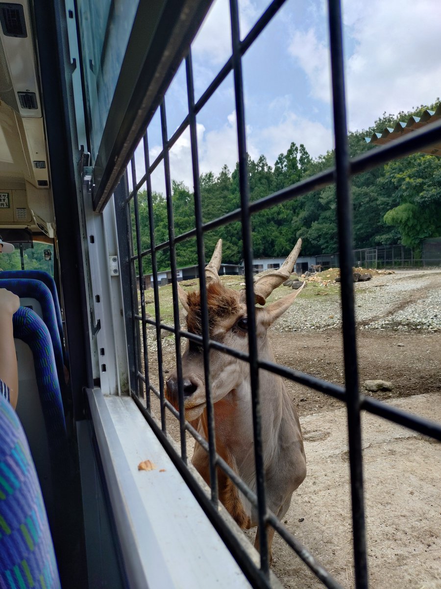 tepe0717's tweet photo. 近すぎちゃってっ
どおっしよっ https://t.co/IWnrunbQK4