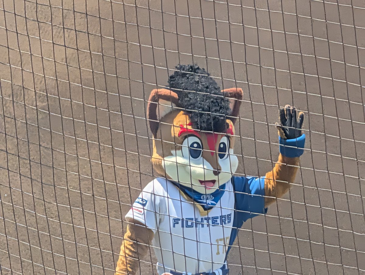 freedreamer2017's tweet photo. しかしあまりの激猛暑ぶりにプレップがまさかの突然変異ｗ（リクロジーさんのズラを拝借？）
てかリクロジーさん効果で雨降ってほしい位の暑さ・・
#lovefighters
#鎌スタ https://t.co/AYQzgu8Bji