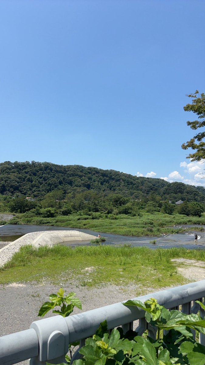 fx_Fintokei's tweet photo. ウォーキング🚶してから水風呂🛁シャワー🚿してチャートみましょ🤭 https://t.co/1Czpx8pwhv