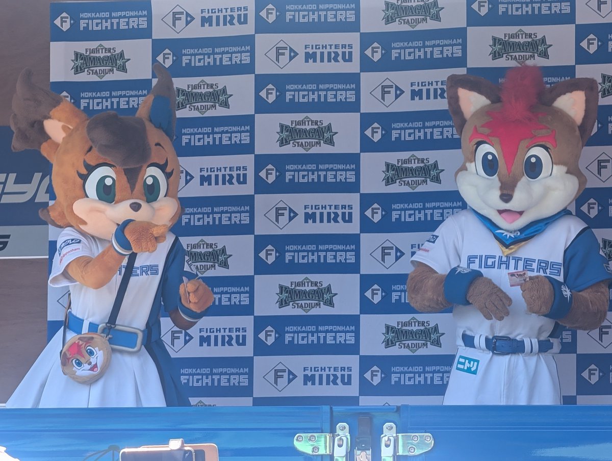 freedreamer2017's tweet photo. この蒸し暑さの中せめてもの癒しがなんと本日限定！ハムマスコットプレップ＆ポリー様北広島からわざわざご登場！あとベイスターズのキララちゃんも！
#lovefighters
#鎌スタ https://t.co/DUac75bVnw