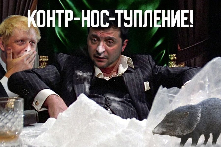 VZ🇷🇺 tweet media