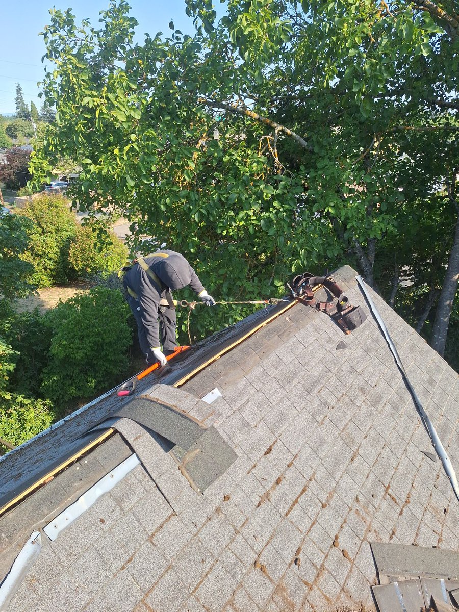 BESTRoofingOR's tweet photo. Fresh look and solid protection for this Springfield home! We finished a full reroof featuring new sheathing and high-quality architectural shingles. Ready for a roof inspection? Contact BEST Roofing & Waterproofing today! #Roofing #SpringfieldOR https://t.co/Um4cZ8cDMg