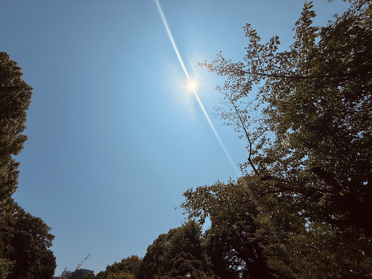 seigo118's tweet photo. 現在の上野公園はとんでもない天気です！
ヘブンアーティスト演奏やってきます！ https://t.co/lielddzsPW