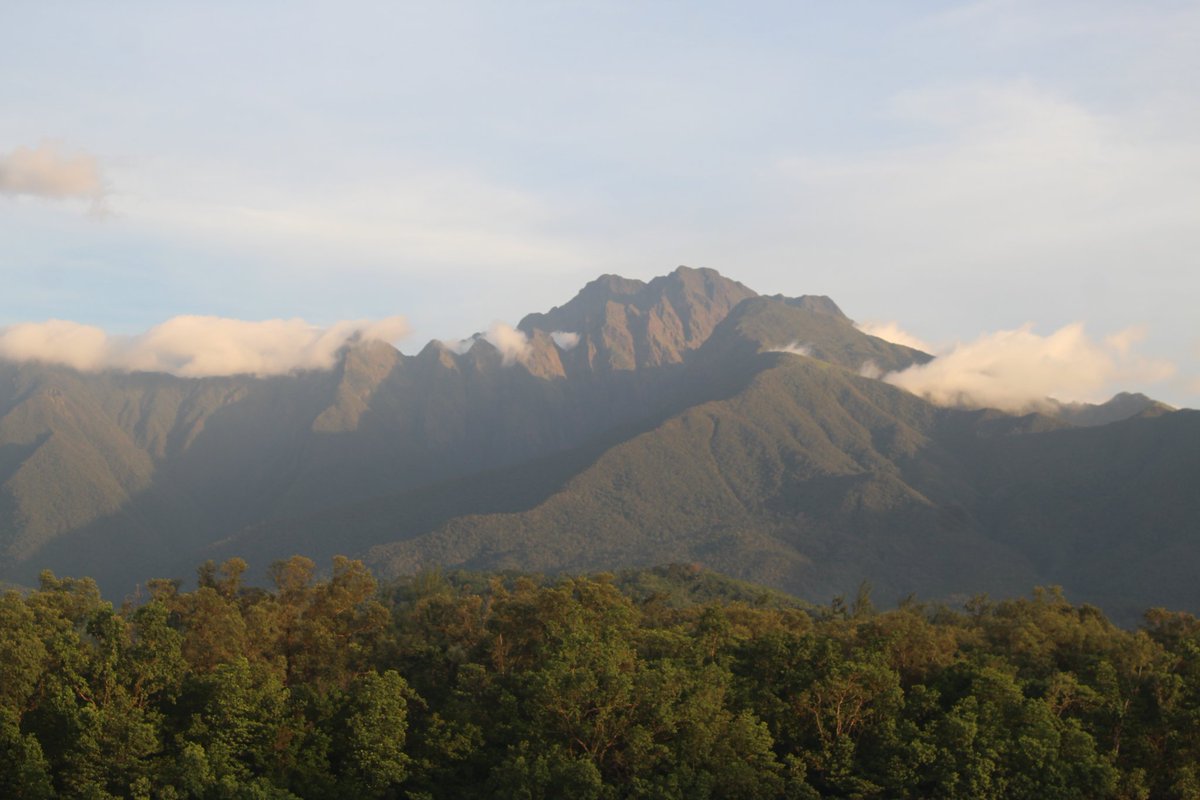 heyvantae__'s tweet photo. I had the opportunity to stay in Sibuyan Island for a week, and it made me realize how simple, yet deeply fulfilling, life can be.

The way of life of the residents reflects a quiet understanding that the island provides for them—and in return, it deserves to be protected. https://t.co/MvqudkOQRx