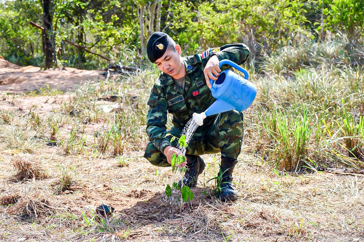 mahasakdiphols2's tweet photo. 💚 ปลูกป่า ปลูกอนาคต สร้างอากาศบริสุทธิ์ ลดภาวะโลกร้อน และเพิ่มพื้นที่สีเขียวภายในหน่วย🌳

💂🏻‍♀️ร้อยเอกปฏิศักดิ์ นามวิจิตร ผู้บังคับกองร้อยสนับสนุนการรบ ปฏิบัติหน้าที่แทนผู้บังคับกองพันทหารราบที่ 2 กรมทหารราบที่ 8 นำกำลังพลนายทหาร นายสิบ และทหารกองประจำการ https://t.co/dl9slqeXxN