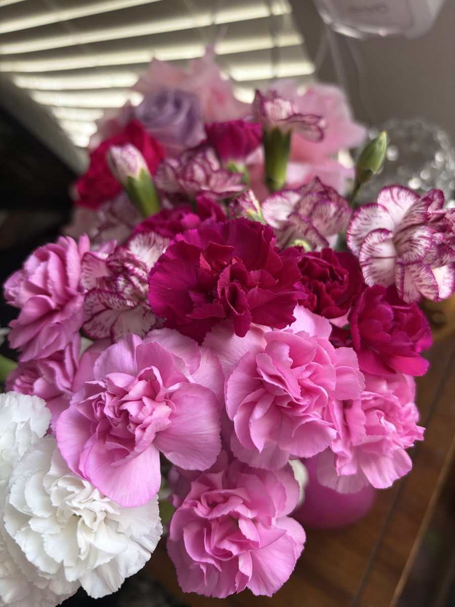 SavannaSutton3's tweet photo. 😍🌸💞💐💕🤍 https://t.co/AoO8abw23o