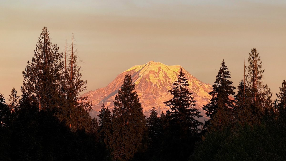 AlanHensley_'s tweet photo. Sunset on the mountain 🏔️ tonight!

@MtRainierWatch #rainier https://t.co/Am8i58Y2Yc