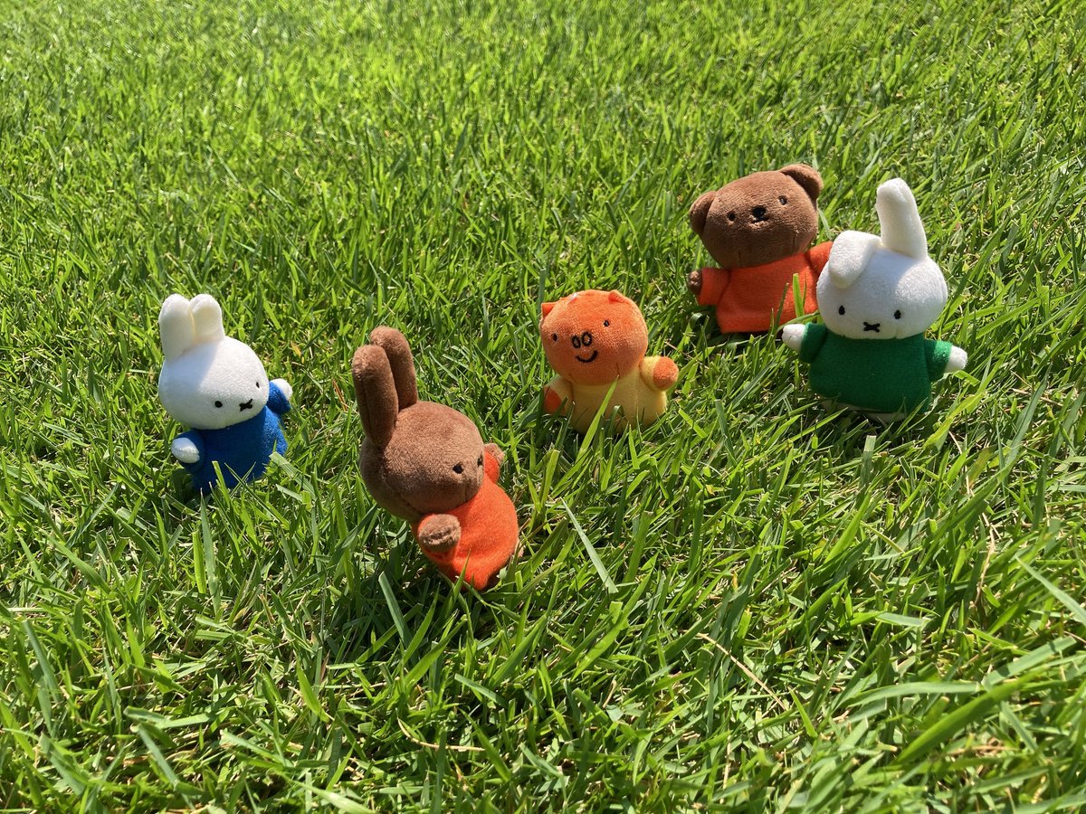 2025miffy's tweet photo. 暑くてもお外がすき https://t.co/rsQwp1Fv4Y