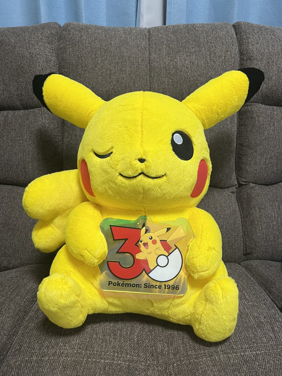 ika_rin_ika's tweet photo. 近所のドラッグストアでやってたポケモンの一番くじ、初日に残り19回全部引いてデ��チュウを持ち帰る28歳男性← https://t.co/LufDxrd5OI