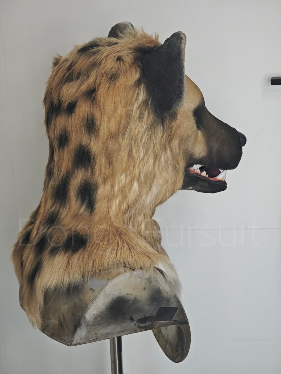 Shrubiya's tweet photo. realistic hyena fursuit head https://t.co/b51EYHhFi0