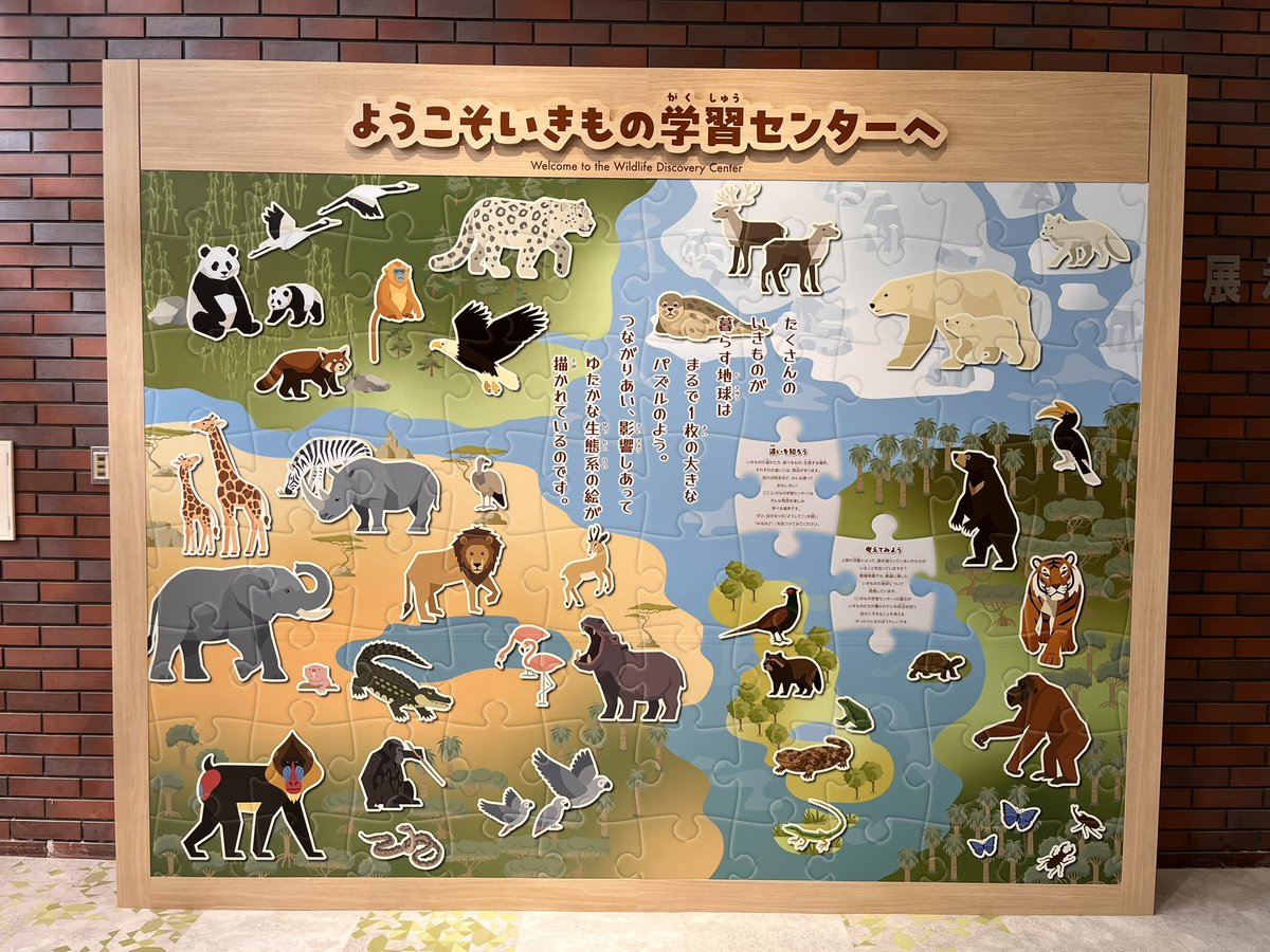 molton2024's tweet photo. 熊本市動植物園のいきもの学習センターがリニューアルオープン！✨
本日、記念イベント「つながる・いきものがたり」の企画・運営で携わらせていただきます😊

#熊本市動植物園 #いきもの学習センター #リニューアルオープン #記念イベント #つながるいきものがたり https://t.co/OAaAIY4D48