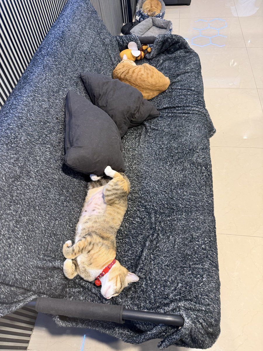 delusional's tweet photo. lived another year 🥳 https://t.co/Qvi7Ct1CyX