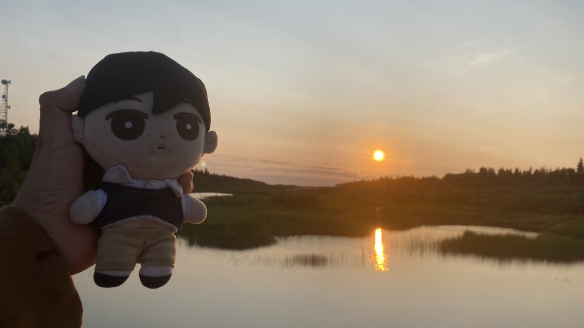 RandomGuy20371's tweet photo. HAPPY BIRTHDAY SUNNY!!!!! YAY!!!!!

I took him out for a little walk earlier this evening, and snapped this photo of him and the sunset behind.

#OMORI https://t.co/r4HLeNpehZ