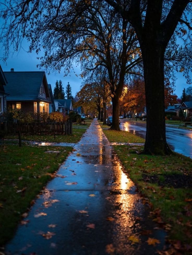 NatureRoot88's tweet photo. Rainy day in Edinburg 🏴󠁧󠁢󠁳󠁣󠁴󠁿 https://t.co/39xpJLPkd1