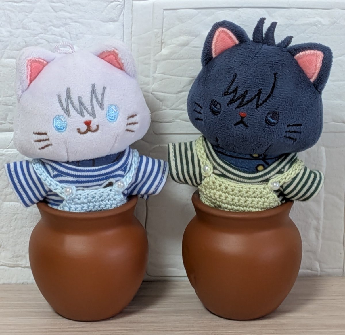 きょうのにゃんさん